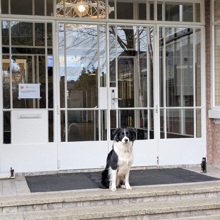 PXL_20250126_090338403.PORTRAIT.ORIGINAL